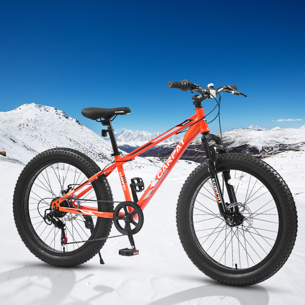 Elecony Fat Bike 24'' Dual Dis - огляд і ціна Mountain Biking Youth