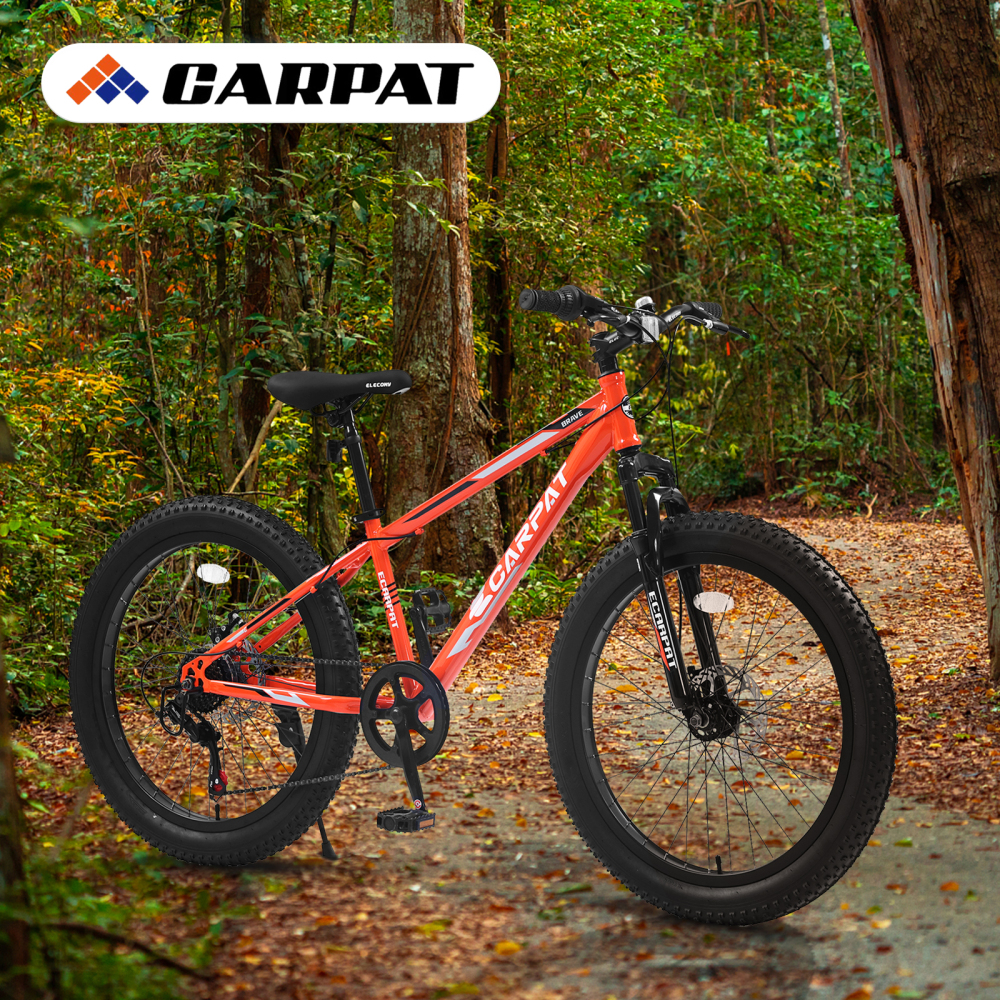 Elecony Fat Bike 24'' Dual Dis - огляд і ціна Mountain Biking Youth